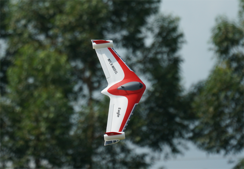 XFly Eagle Twin 40mm EDF Wing - PNP